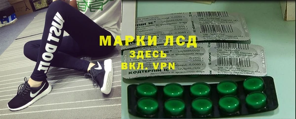 ECSTASY Алзамай